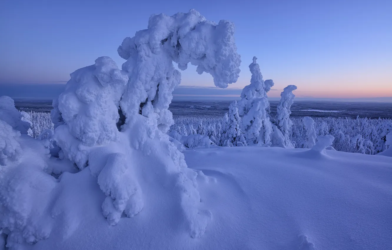 Photo wallpaper winter, snow, trees, landscape, nature, ate, forest, Finland