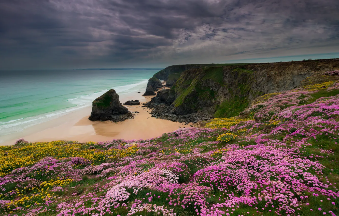 Photo wallpaper sand, sea, beach, summer, the sky, flowers, yellow, clouds