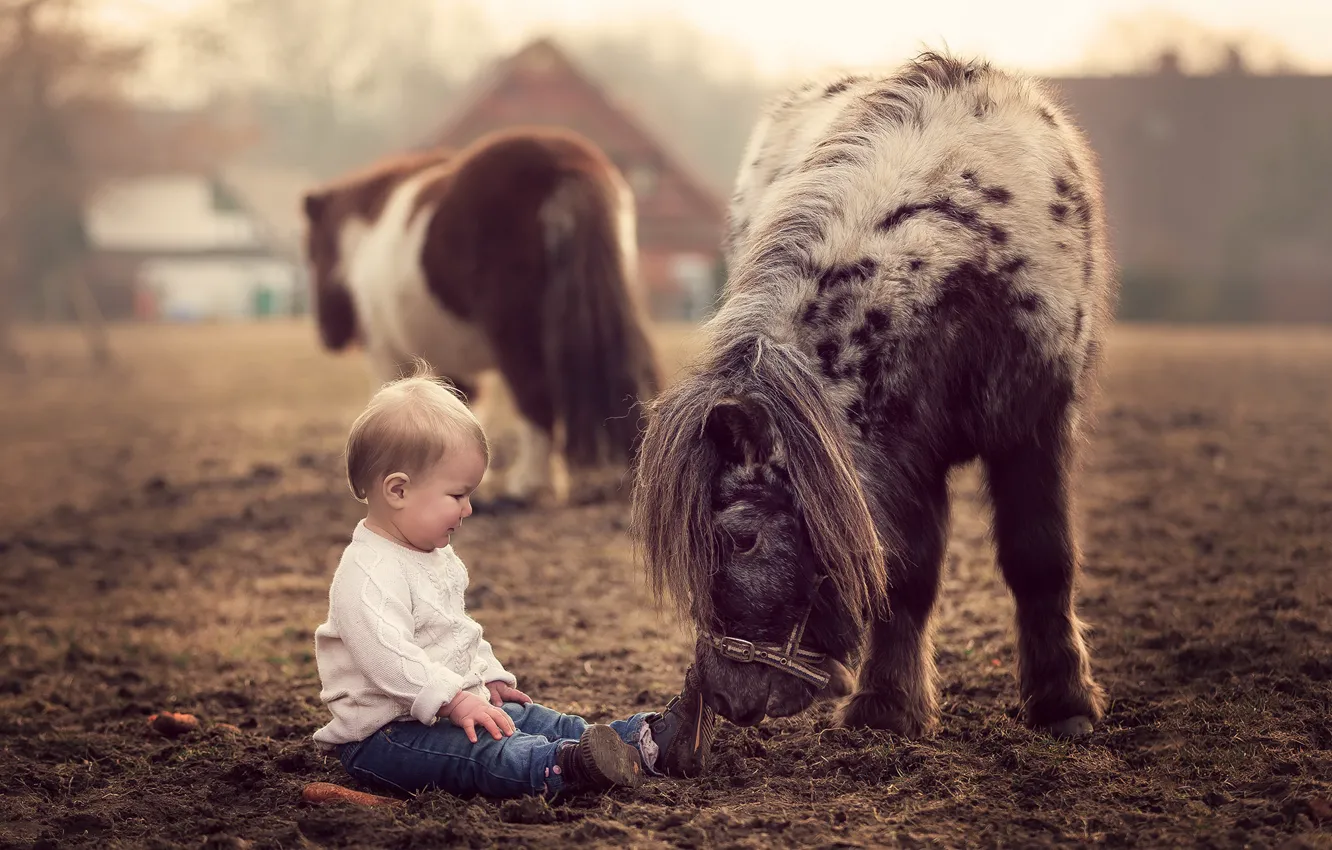 Photo wallpaper nature, horse, child