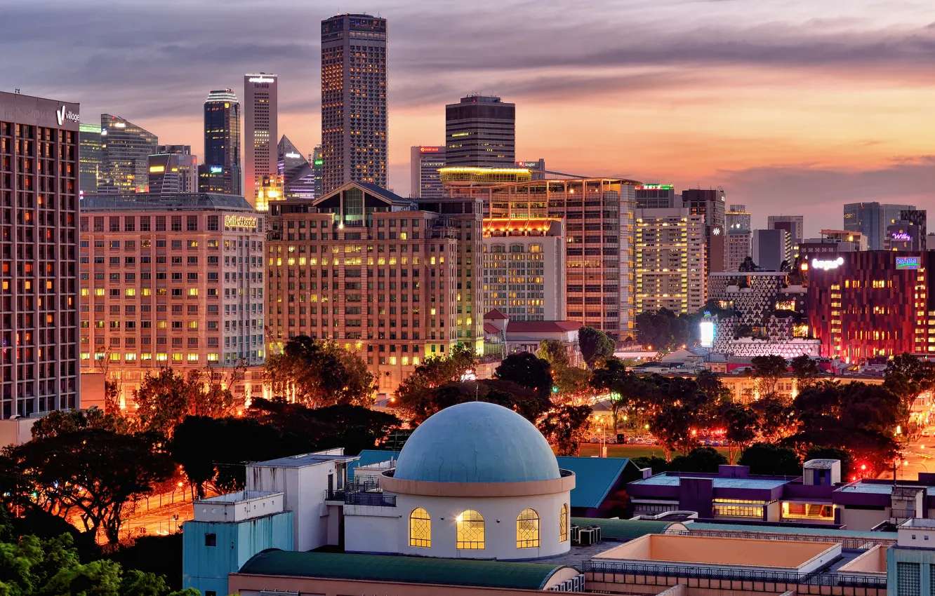 Photo wallpaper trees, the city, building, home, skyscrapers, the evening, Singapore, skyscrapers