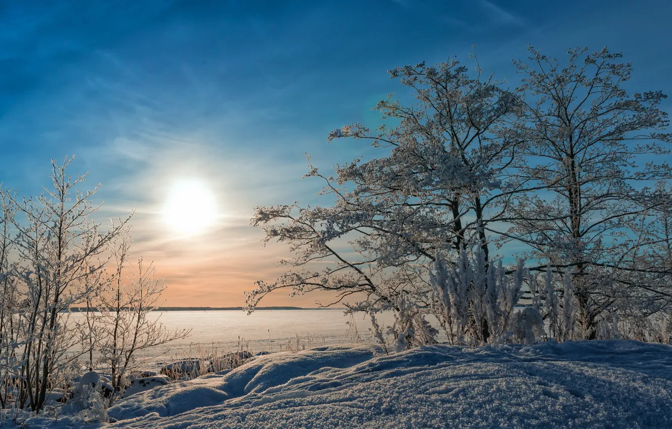 Photo wallpaper winter, landscape, lake, morning