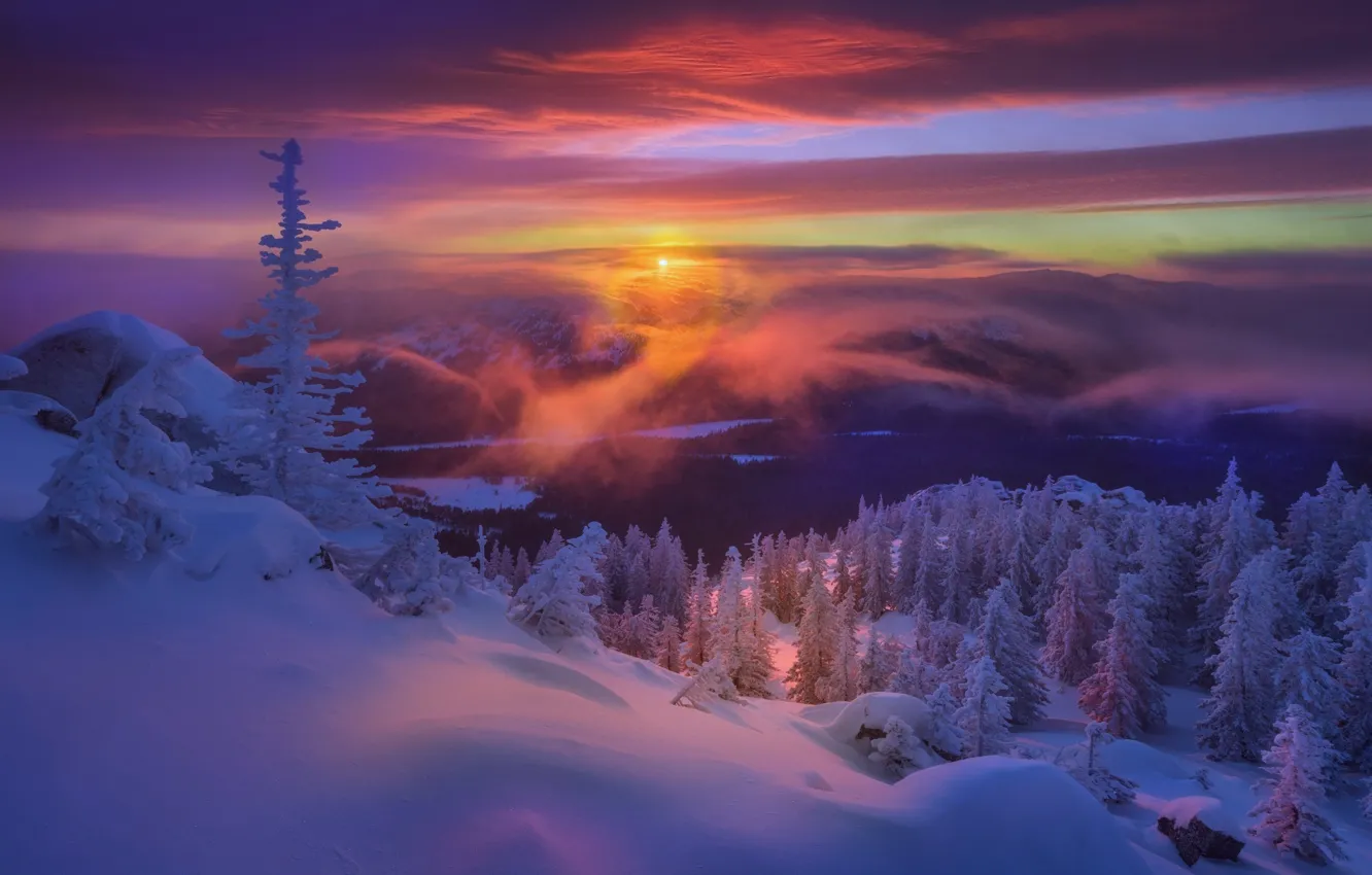 Photo wallpaper winter, the evening, dawn