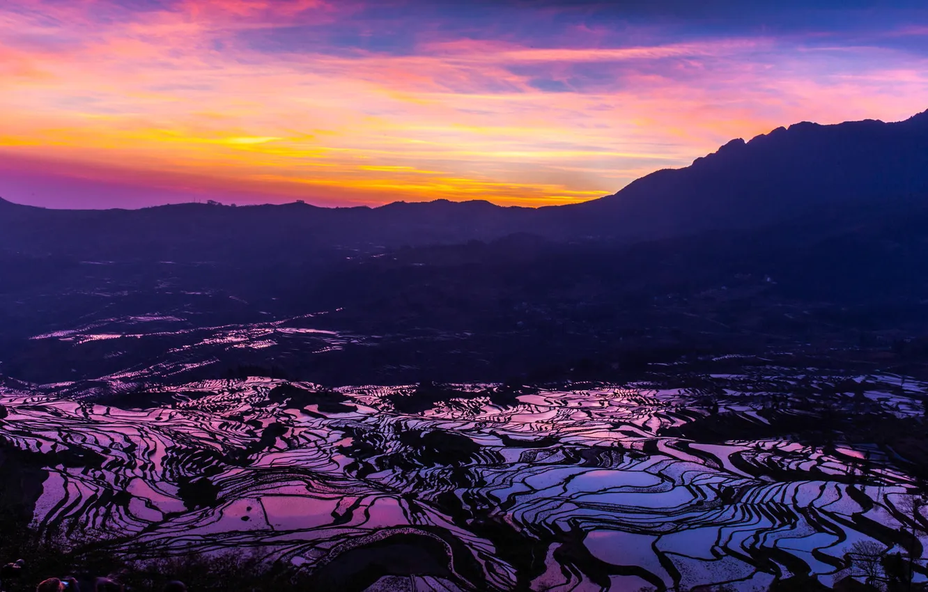 Photo wallpaper mountains, nature, plantation, rasvet