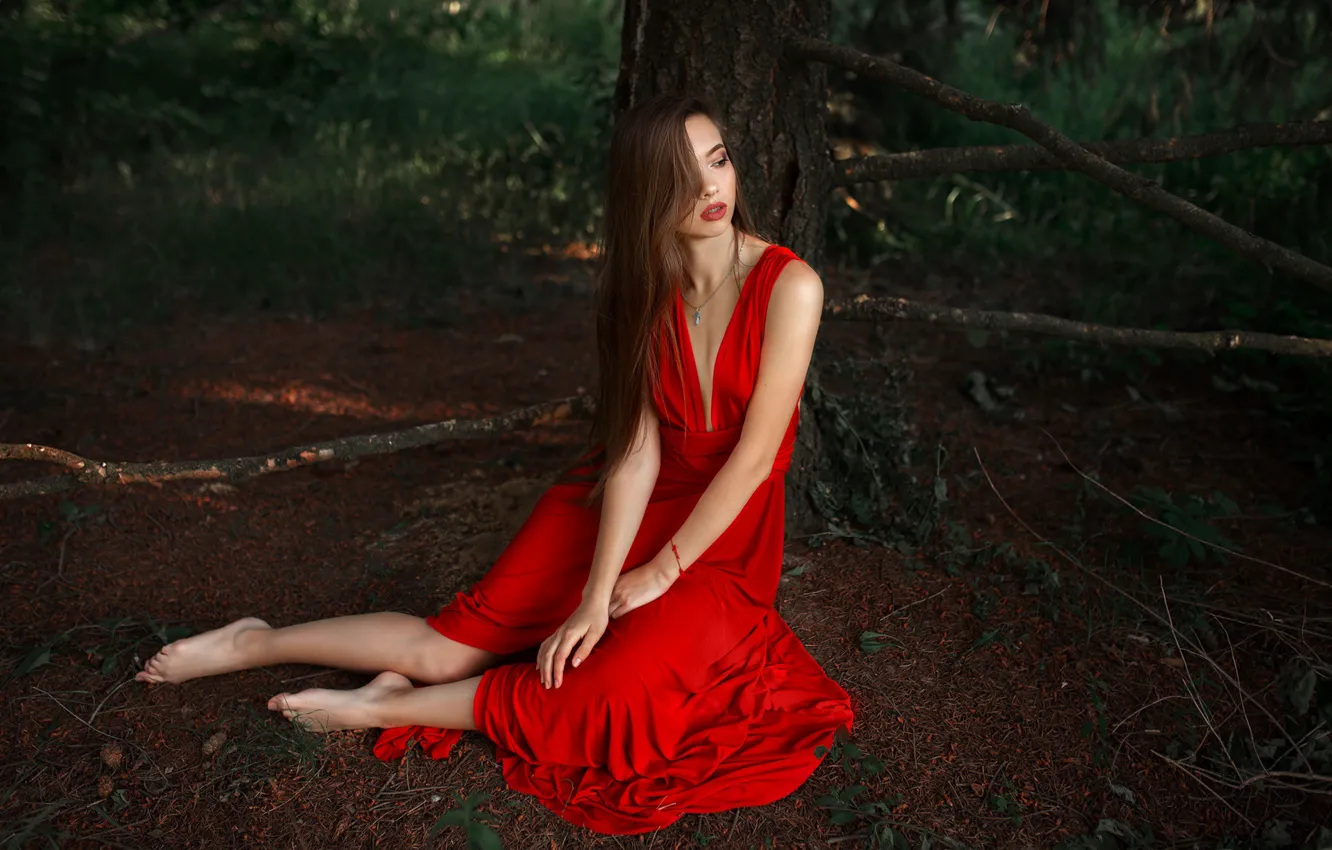 Photo wallpaper girl, dress, sitting, shrub, Albert Forest