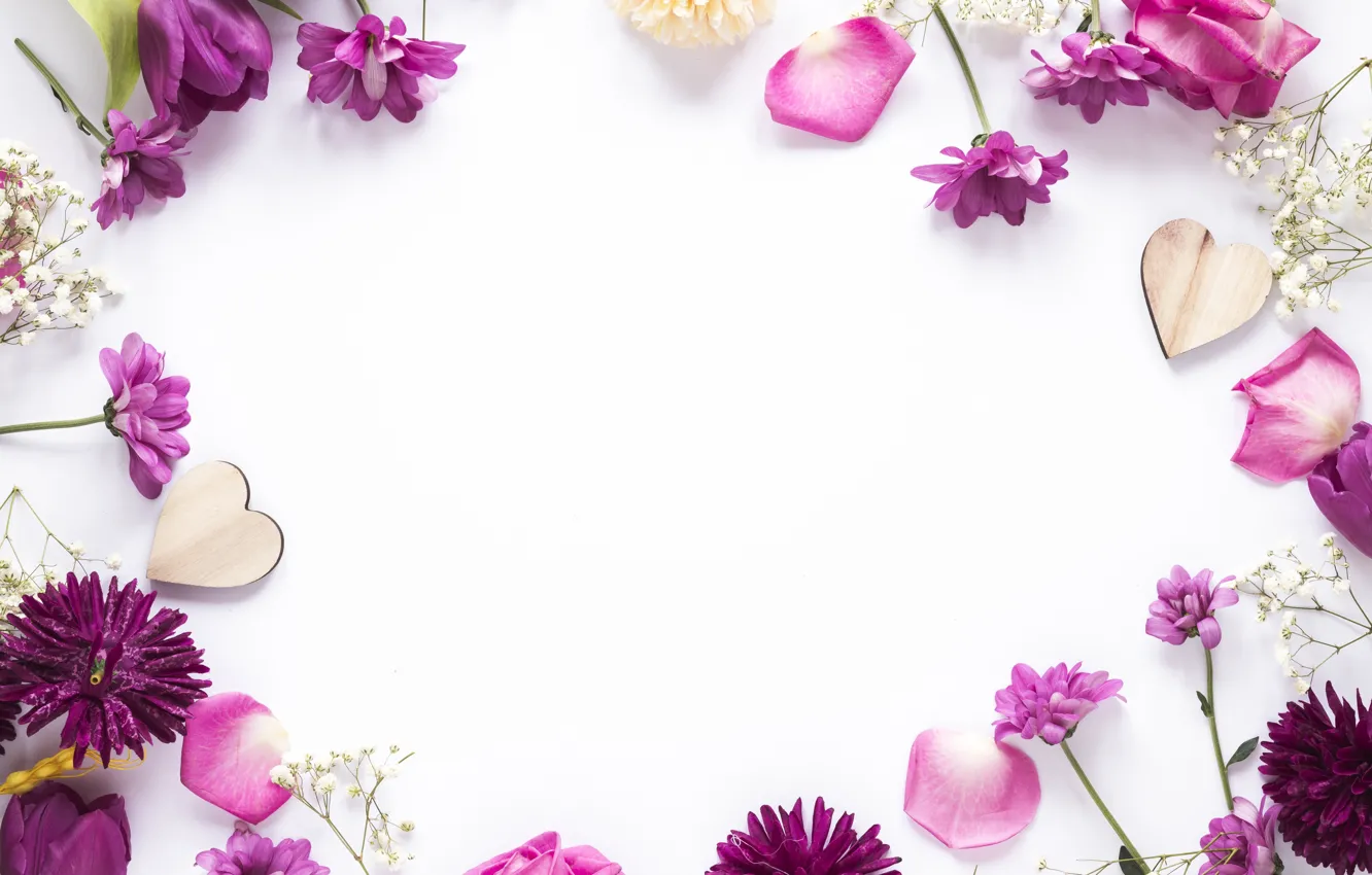 Photo wallpaper flowers, frame, petals, flowers, purple, petals, frame, floral