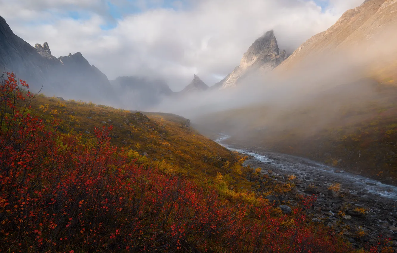 Photo wallpaper autumn, mountains, fog, river, the bushes