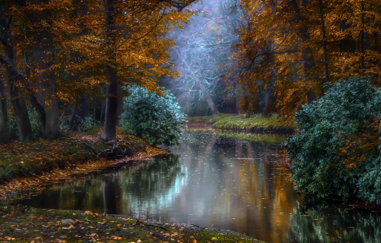 Photo wallpaper autumn, rays, light, trees, nature, Park, pond, Holland