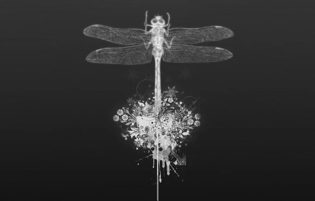 Photo wallpaper minimalism, vector, dragonfly