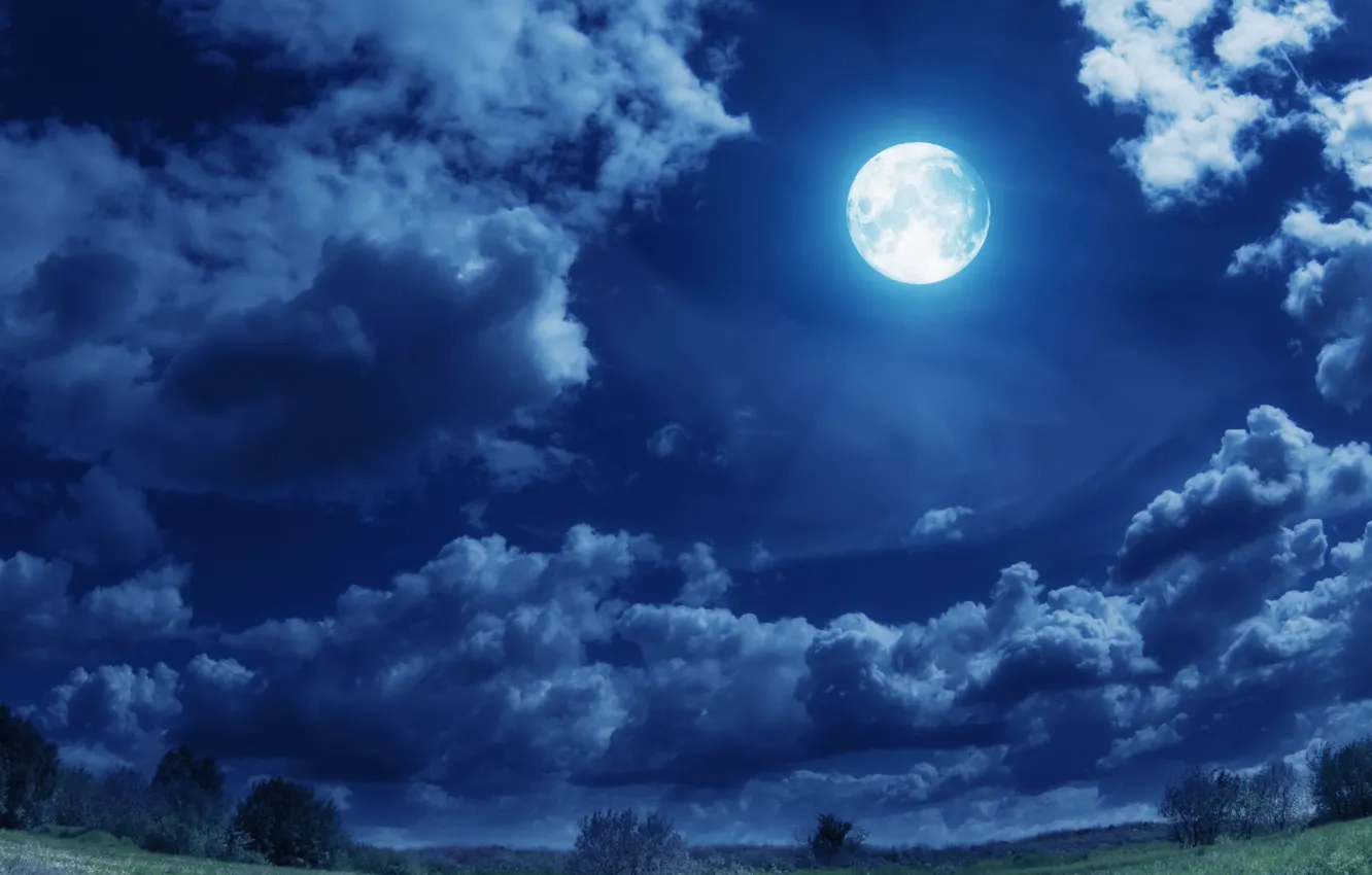 Photo wallpaper field, clouds, trees, lights, the moon, the full moon