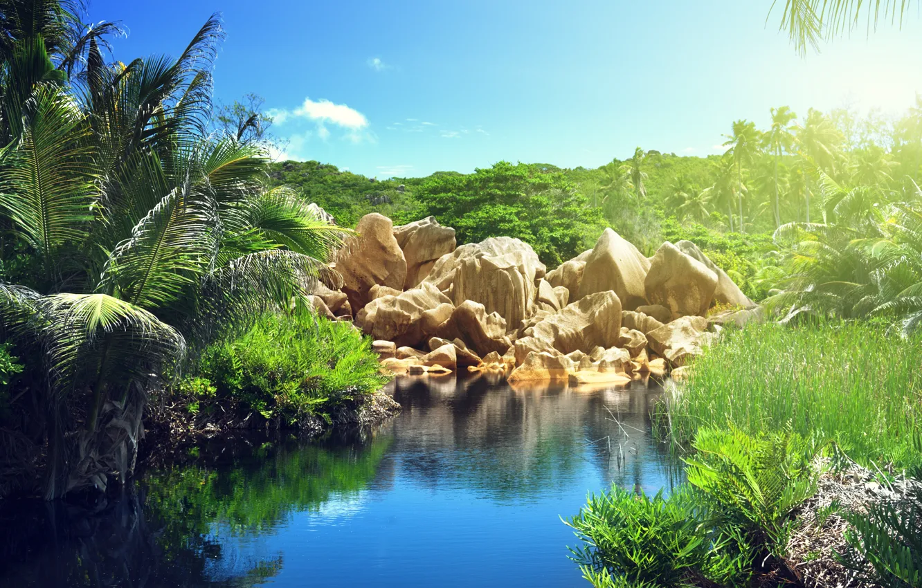 Photo wallpaper sea, tropics, palm trees, summer, sea, lake, paradise, palms