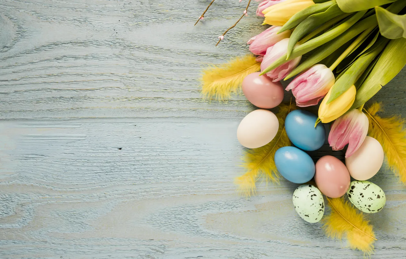 Photo wallpaper flowers, spring, Easter, tulips, pink, wood, pink, flowers