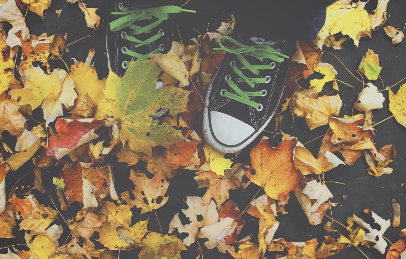 Photo wallpaper All Star, autumn, leaves