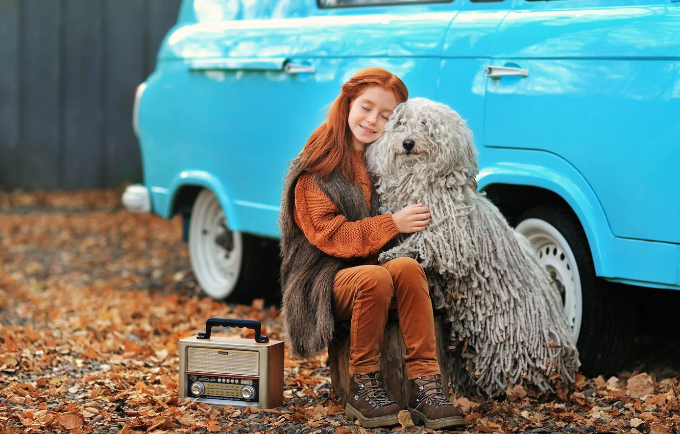 Photo wallpaper machine, auto, autumn, each, dog, friendship, girl, red