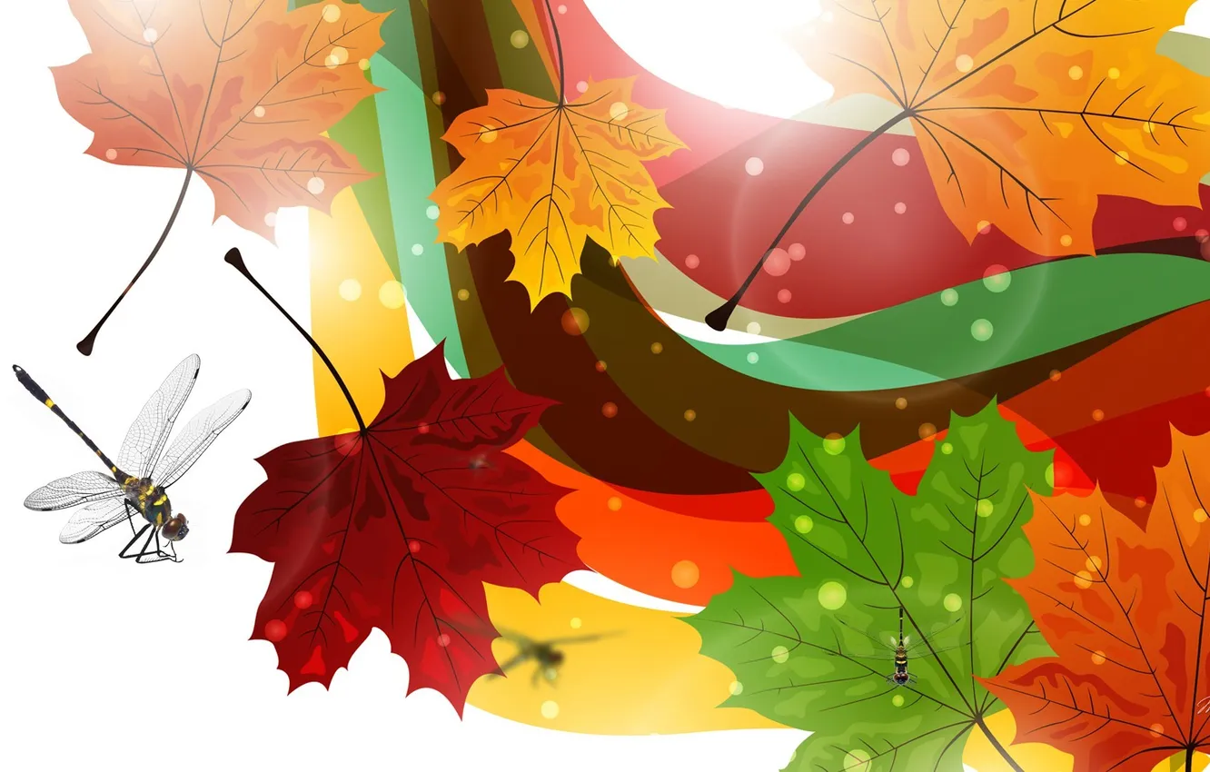 Photo wallpaper autumn, leaves, collage, vector, dragonfly