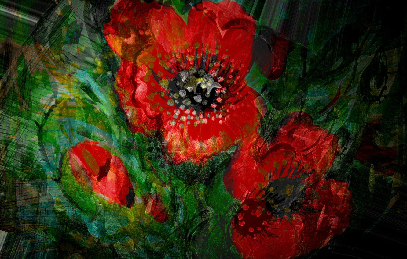Photo wallpaper flowers, the dark background, bouquet, Figure, red