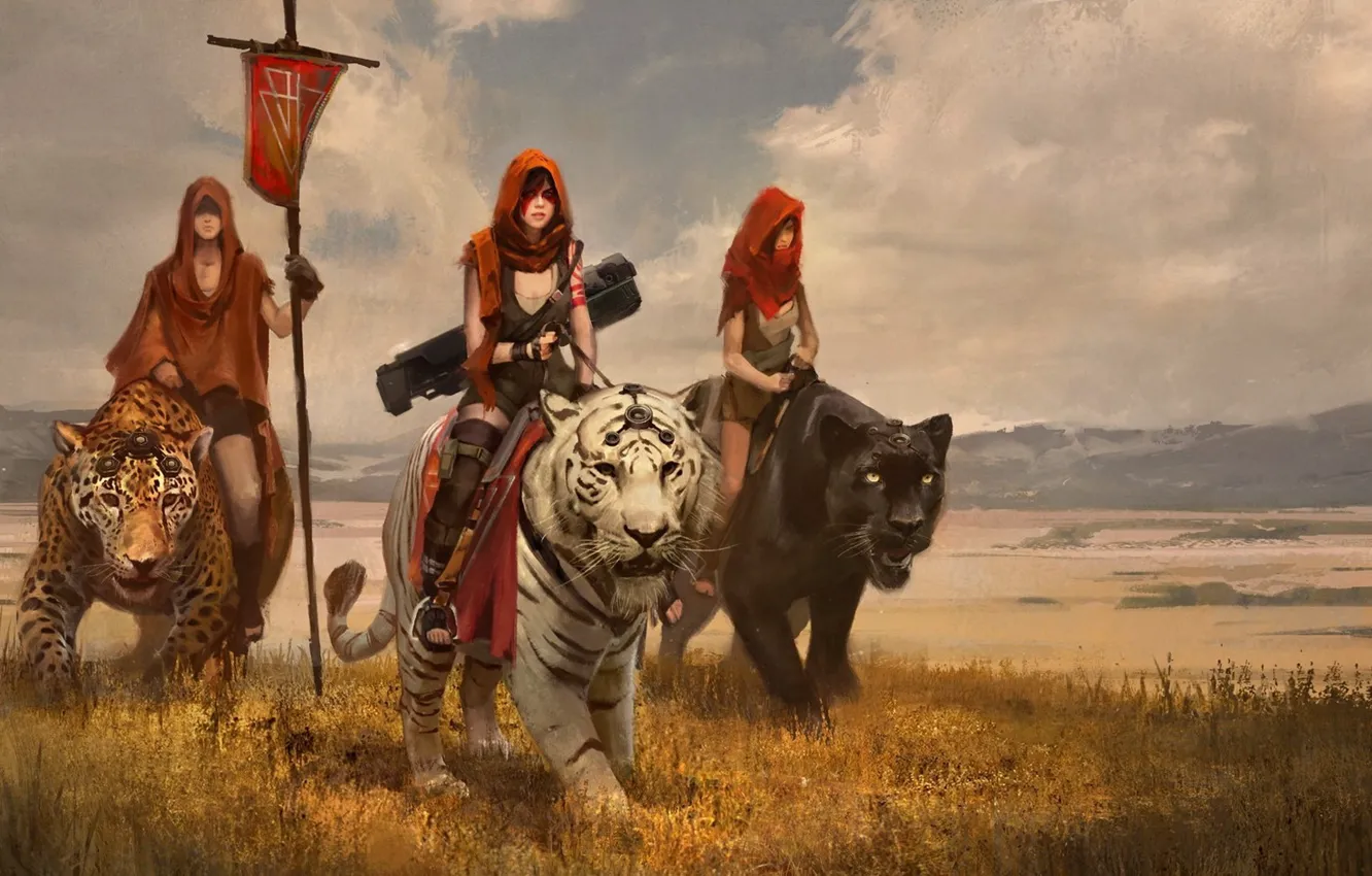 Photo wallpaper cat, the sky, girl, clouds, animal, flag, warrior