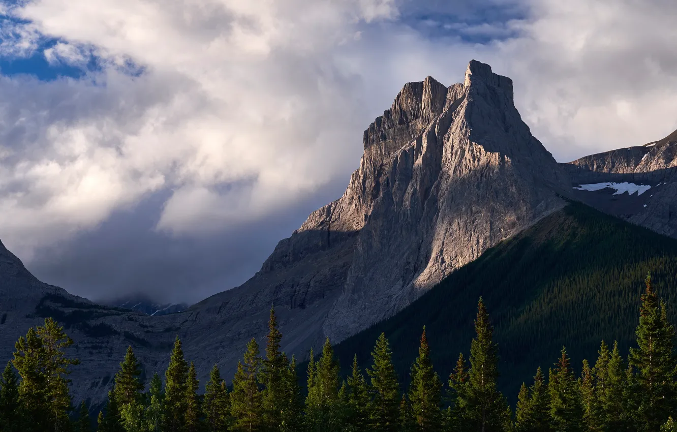 Photo wallpaper forest, the sky, clouds, light, mountains, nature, blue, rocks