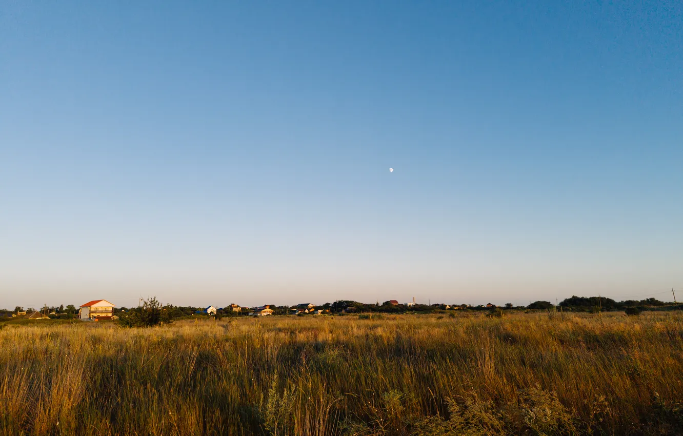 Photo wallpaper field, summer, the sky, grass, trees, the moon, building, home