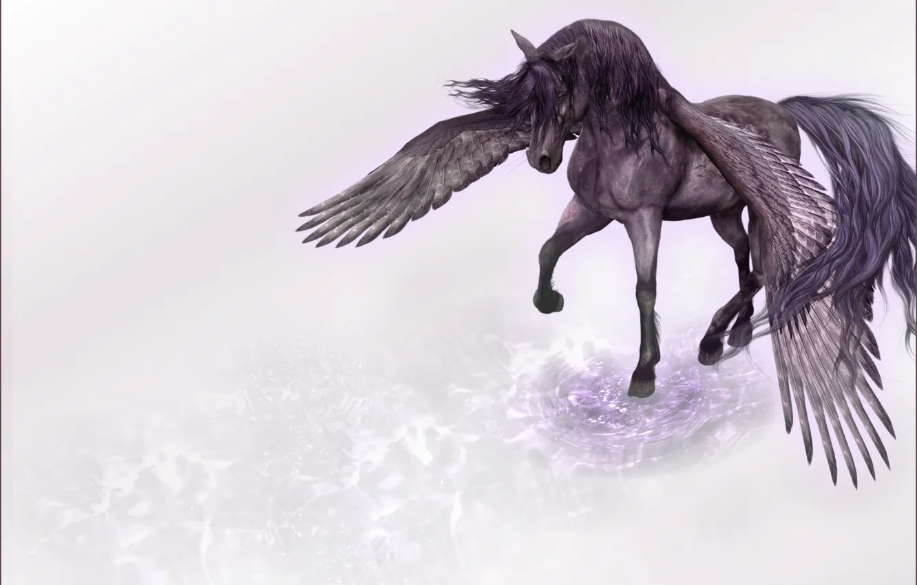 Photo wallpaper rendering, wings, minimalism, Horse, Pegasus, tread
