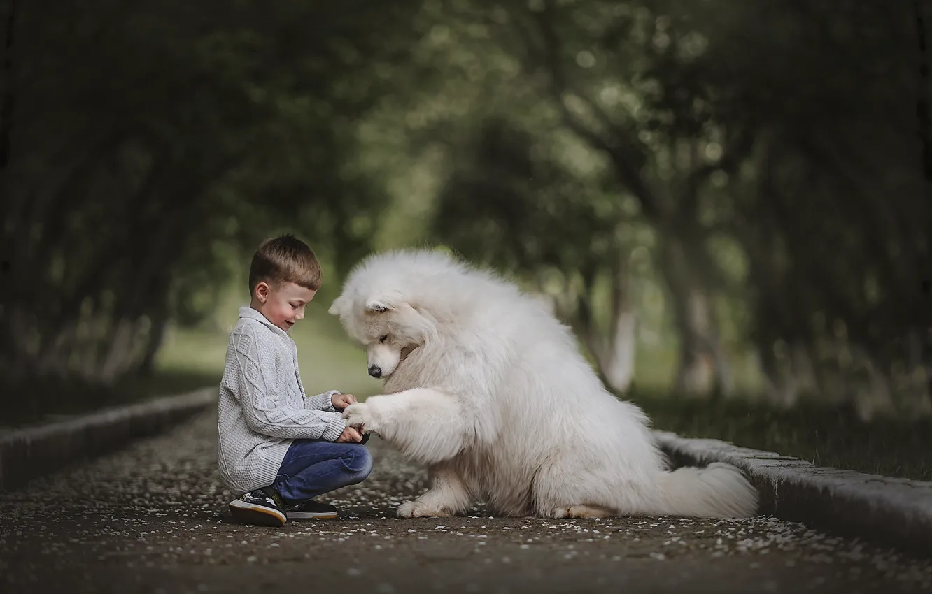 Photo wallpaper children, each, animal, dog, boy, alley, dog, Ksenia Lysenkova