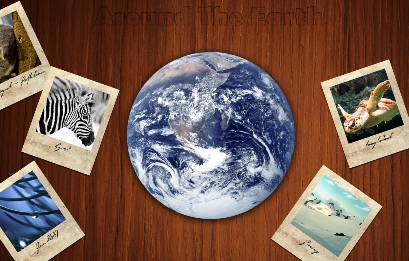 Photo wallpaper background, animal, photos, the globe, journey
