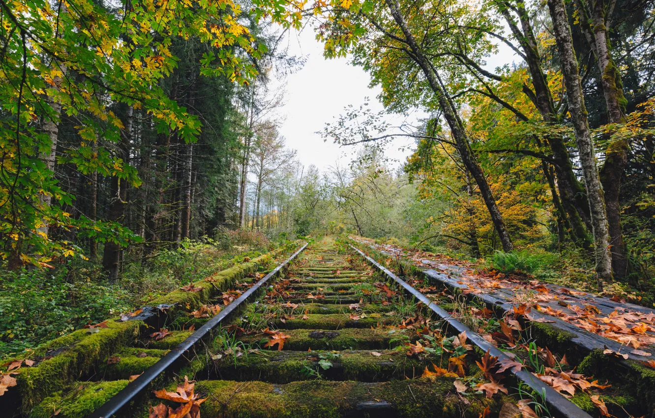 Photo wallpaper autumn, railway, abandoned, fall, railroad, decay