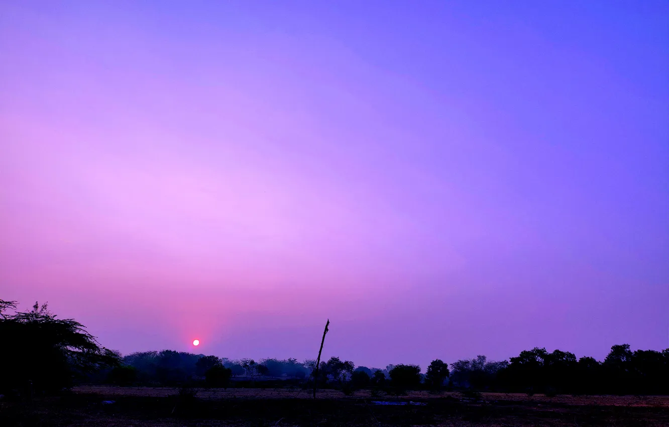 Photo wallpaper trees, water, lake, morning, sun, sunrise, dawn, woods