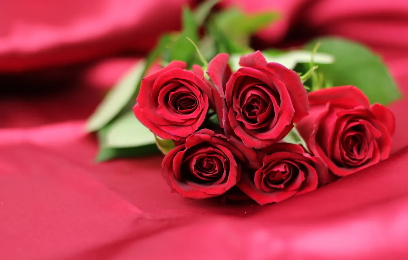 Photo wallpaper flowers, background, roses, bouquet, fabric