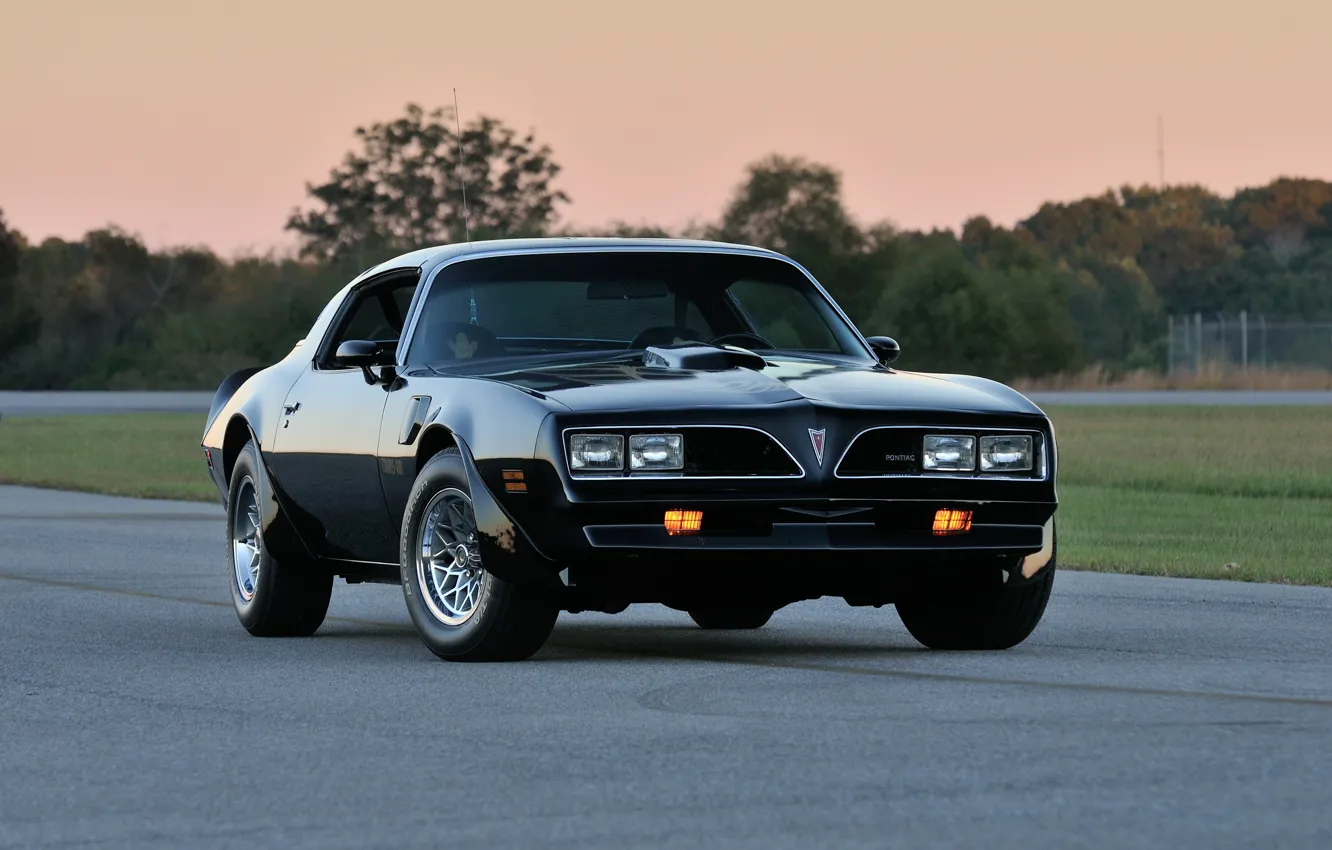 Photo wallpaper Pontiac, Pontiac, Firebird, 1978, Trans Am, WS6, T-Top, Firebird.