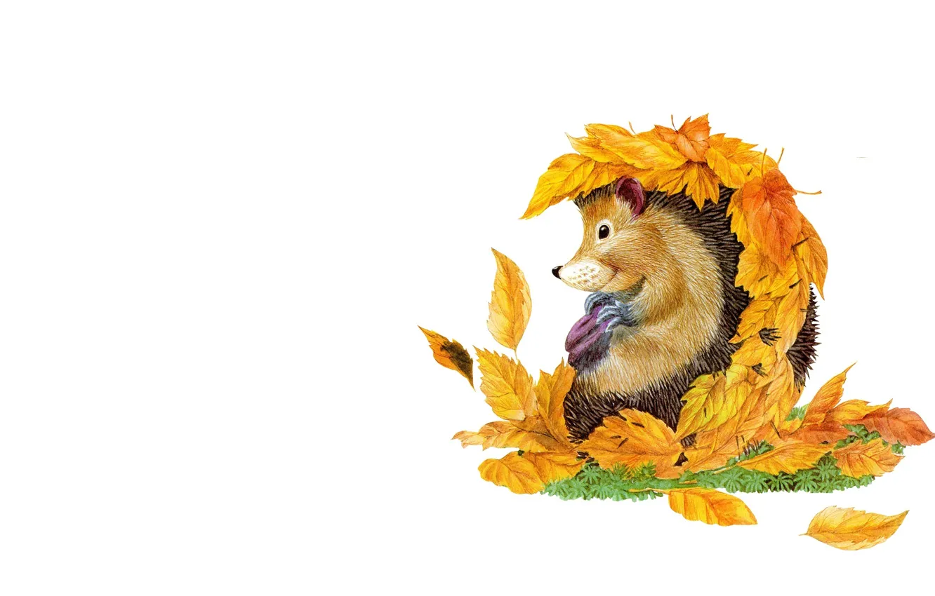 Photo wallpaper autumn, art, leaf, hedgehog, children's