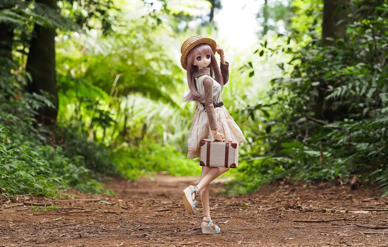 Photo wallpaper forest, nature, toy, hat, doll, anime, dress, suitcase