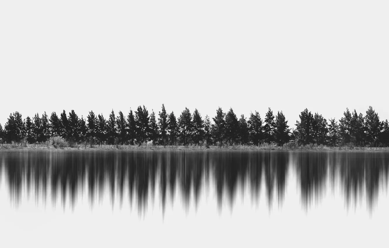 Photo wallpaper trees, reflection, horizon