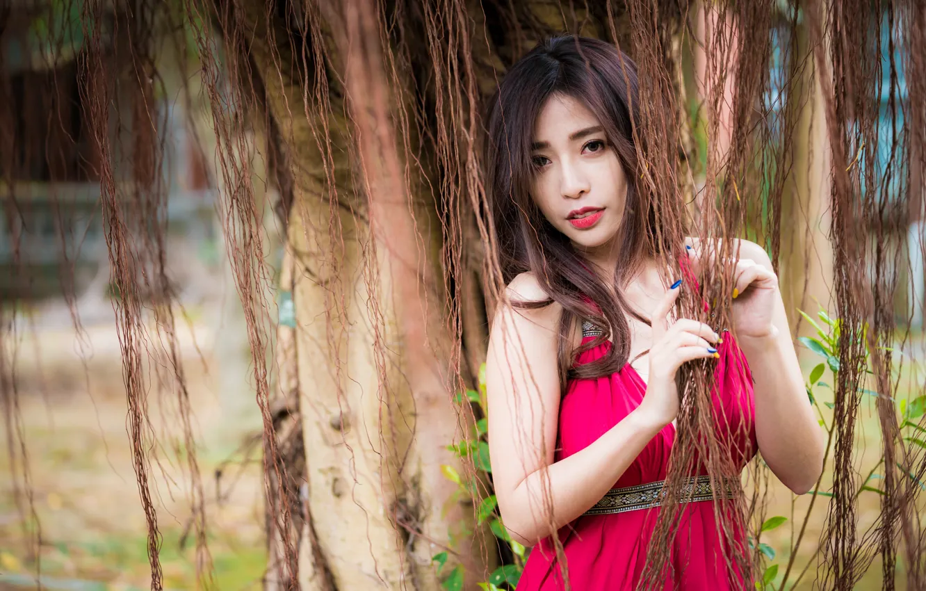 Photo wallpaper look, girl, hair, Asian