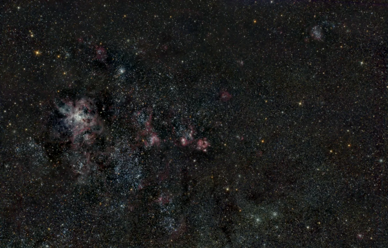 Photo wallpaper Gold Fish, the tarantula nebula, in the constellation, NGC2070