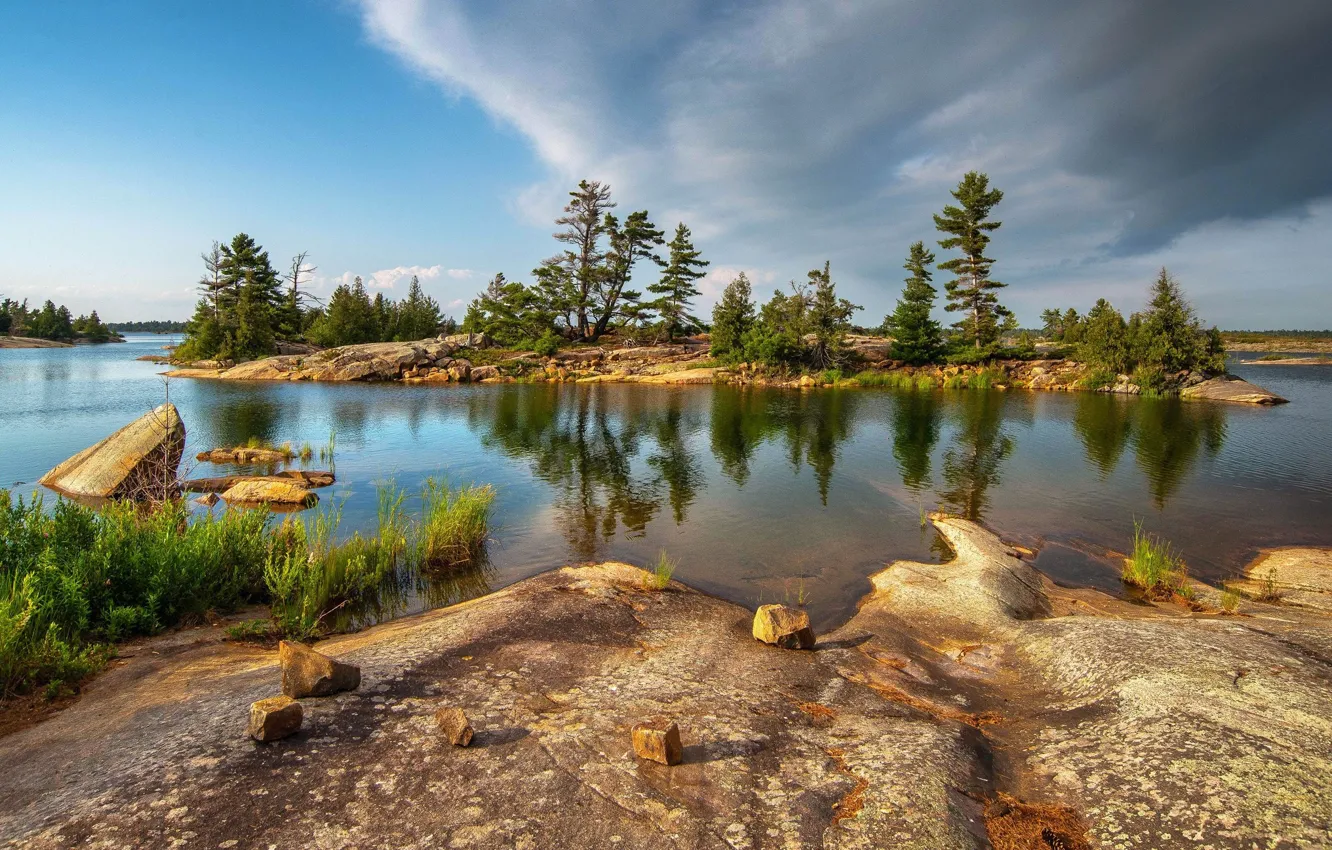 Photo wallpaper trees, landscape, nature, lake, beauty