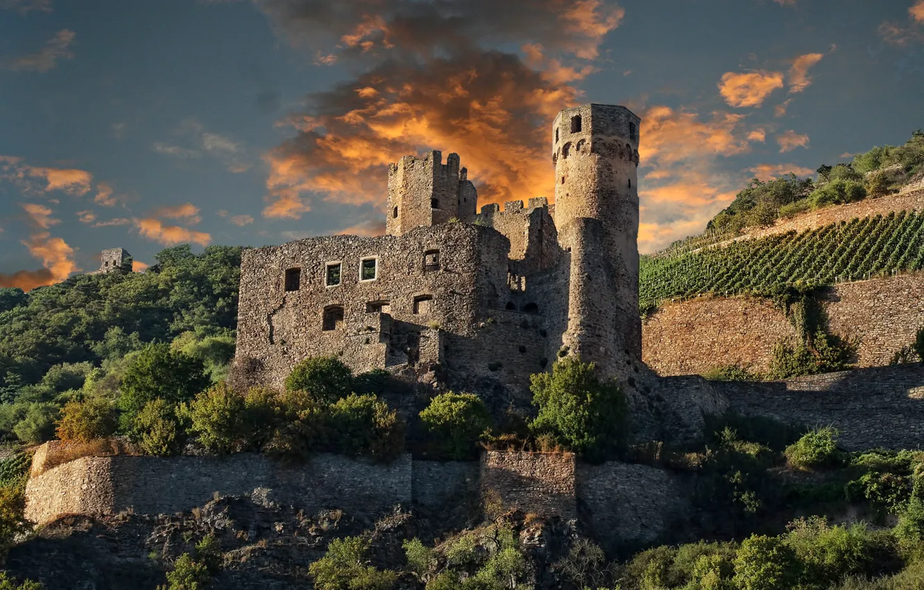 Photo wallpaper the sky, clouds, trees, Germany, ruins, architecture, Ehrenfels Castle
