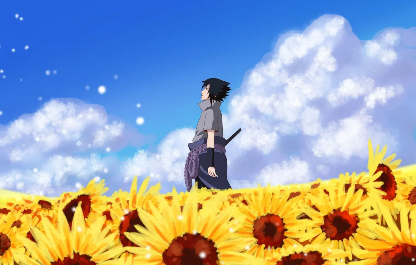 Photo wallpaper is, naruto, art, Sasuke, a field of sunflowers