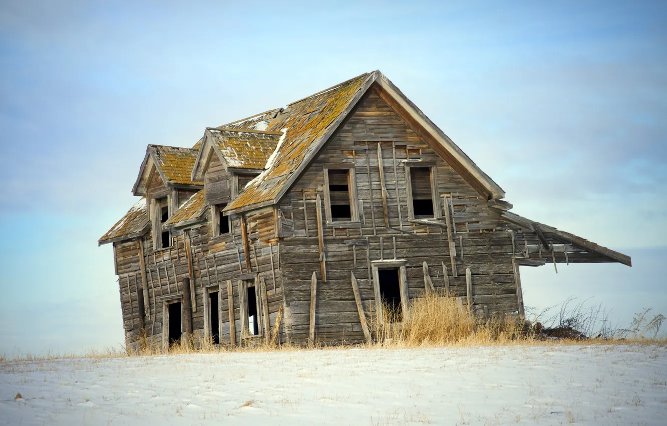 Photo wallpaper field, background, home