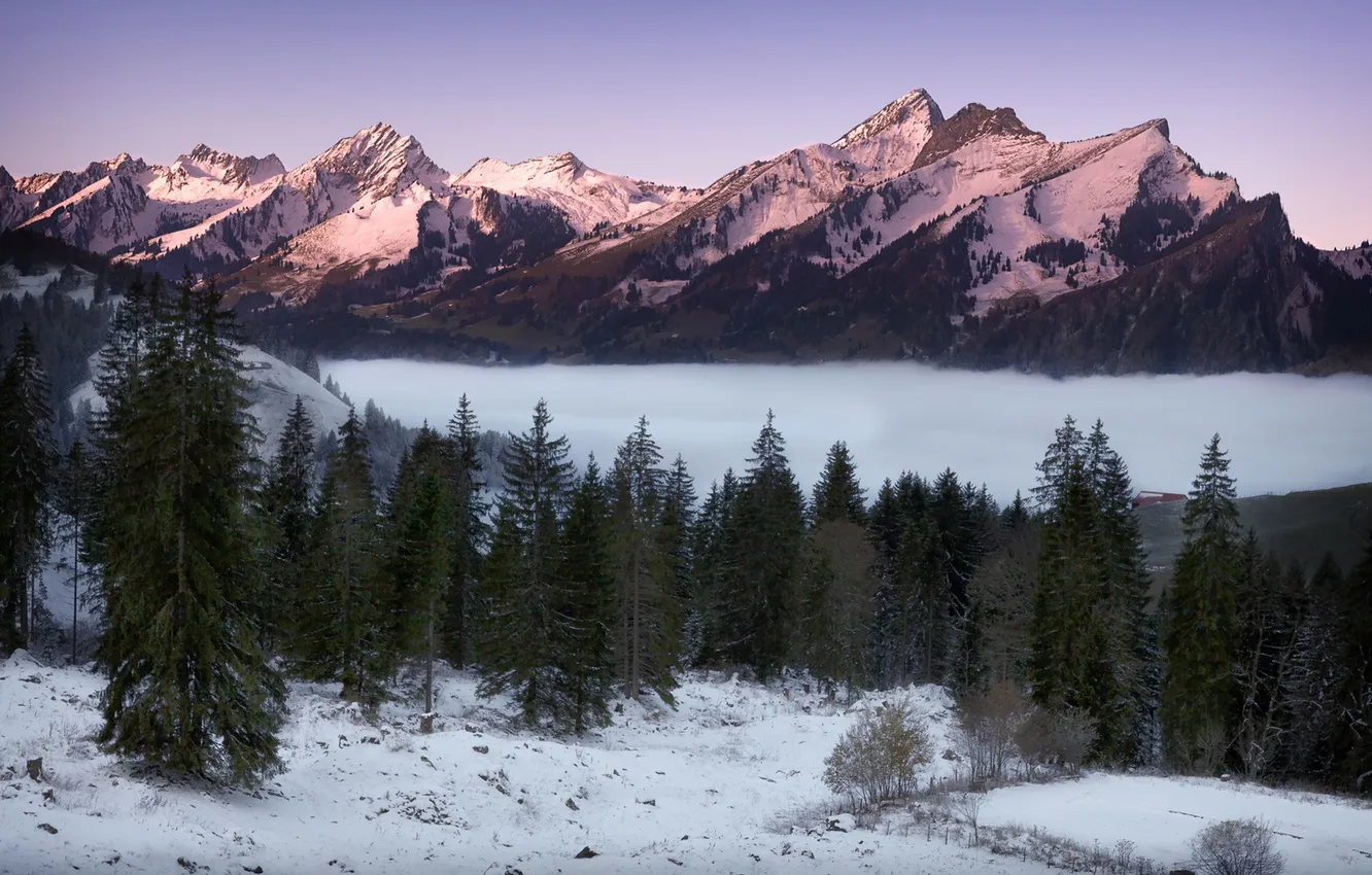 Photo wallpaper mountains, fog, morning