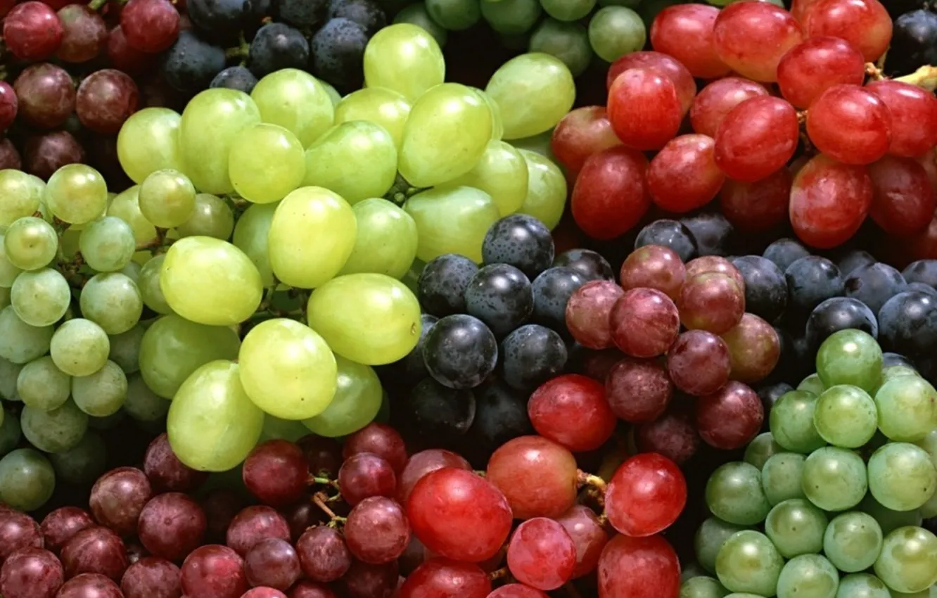 Photo wallpaper Grapes, red grapes, white grapes, blue grape