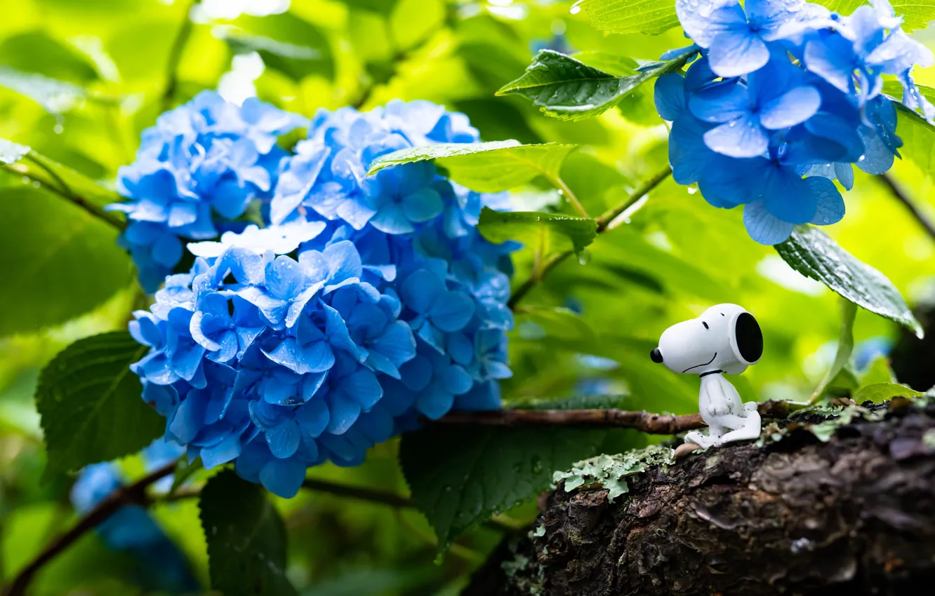 Photo wallpaper leaves, flowers, branches, toy, Bush, garden, dog, green background