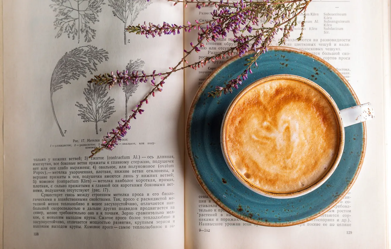Photo wallpaper flowers, book, cappuccino