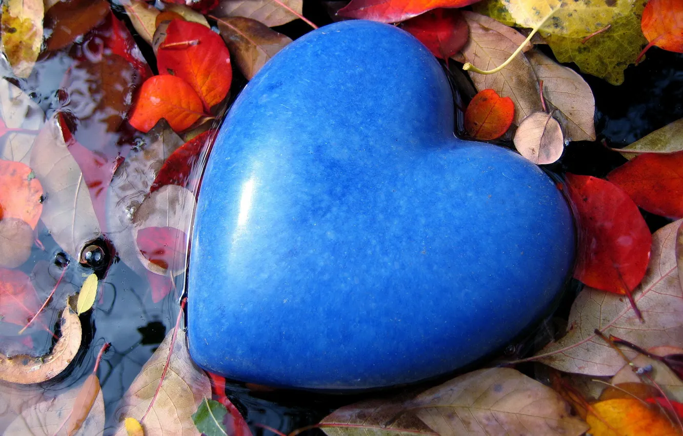 Photo wallpaper leaves, water, love, blue, mood, blue, stone, heart