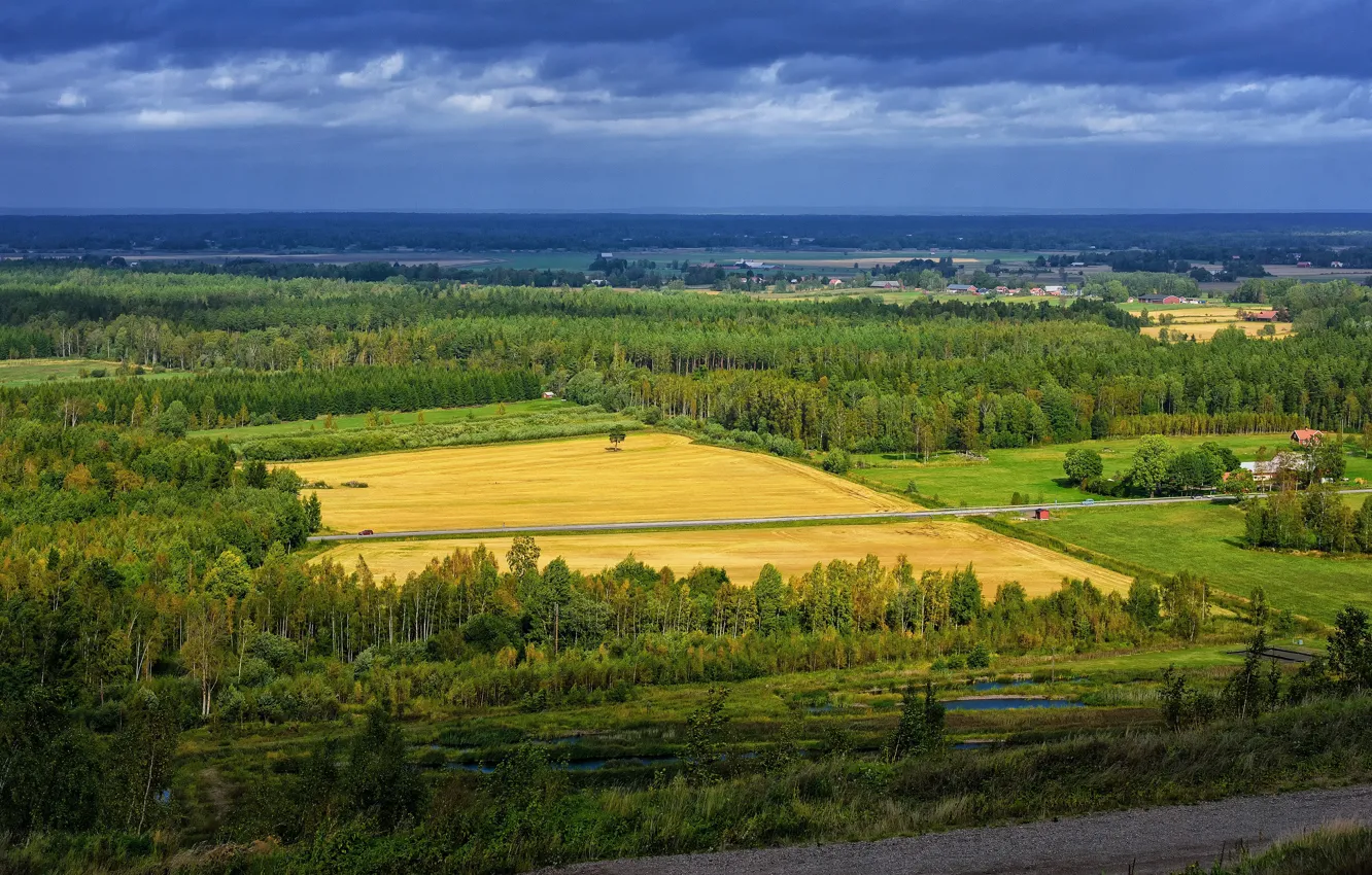 Photo wallpaper road, field, the sky, flowers, spring, may, Nature, may