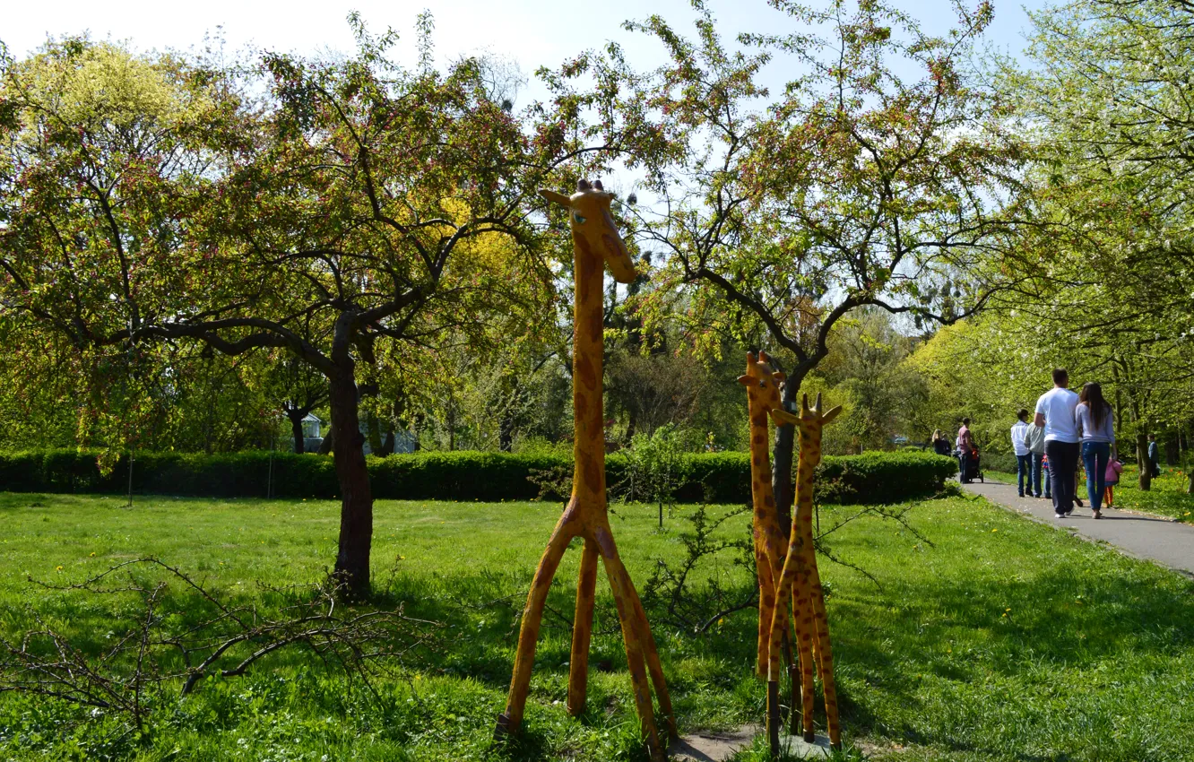 Photo wallpaper trees, giraffe, sculpture