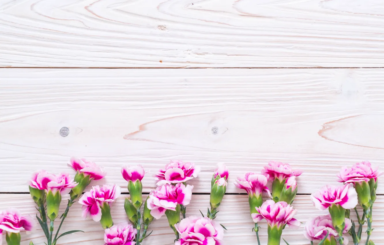 Photo wallpaper flowers, pink, wood, pink, flowers, clove