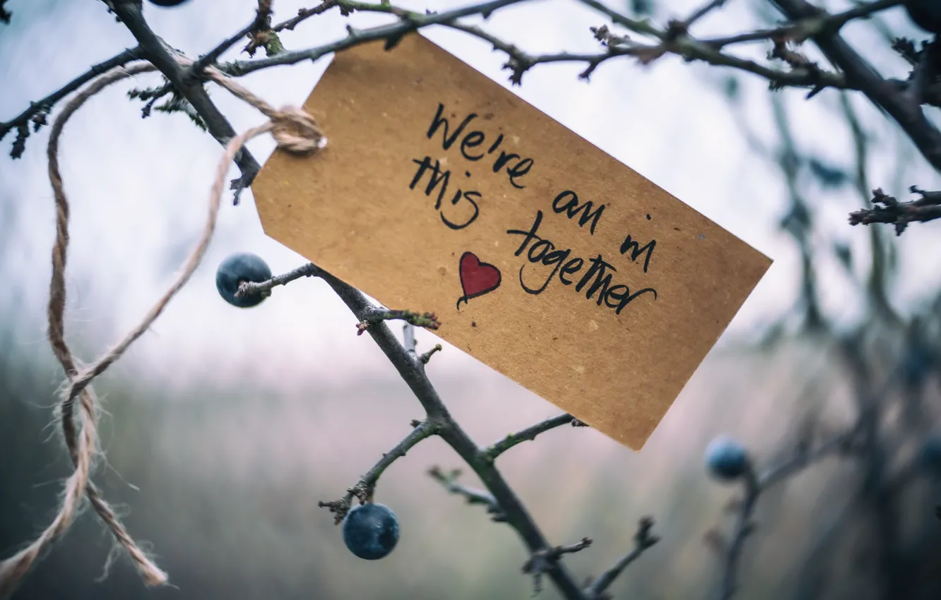 Photo wallpaper branches, note, We're all in this together