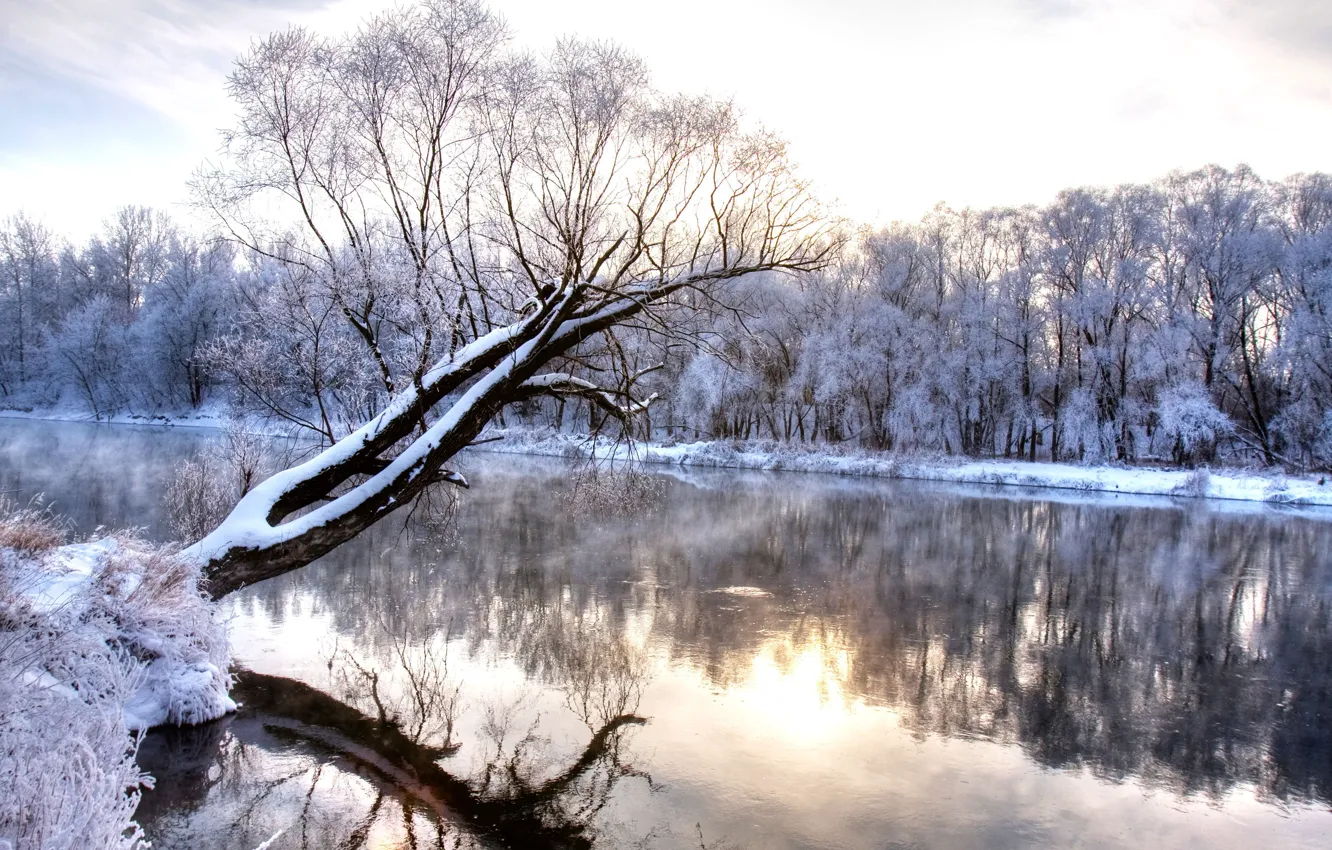 Photo wallpaper cold, winter, trees, landscape, nature, reflection, river, frozen forest