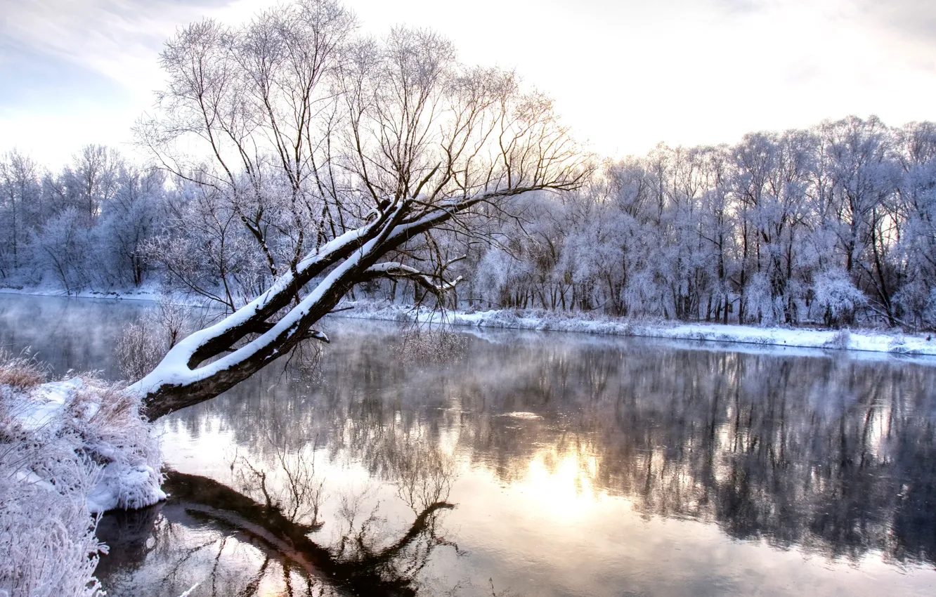 Photo wallpaper cold, winter, trees, landscape, nature, reflection, river, wonderland