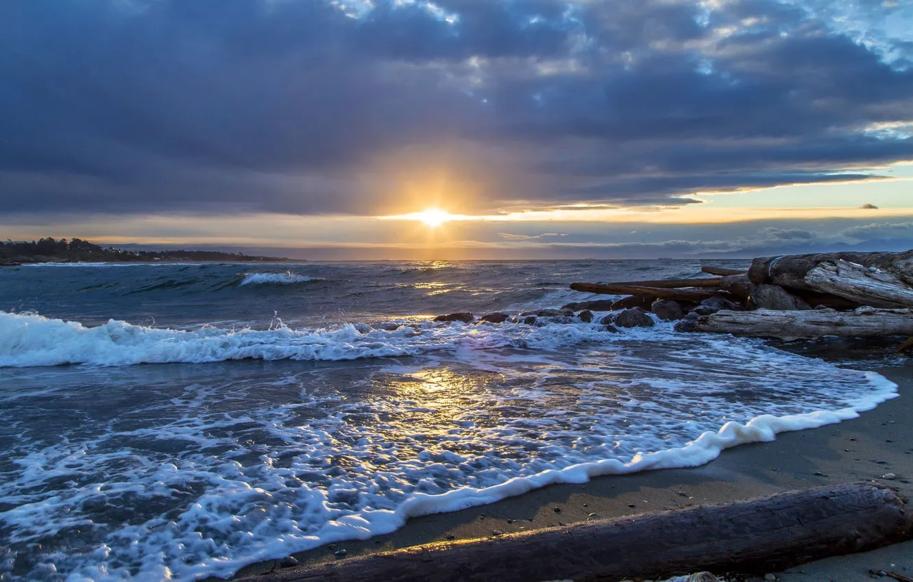 Photo wallpaper sunrise, the ocean, dawn, coast, Canada, Canada, British Columbia, Pacific Ocean